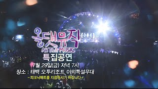 7월 29일 올댓뮤직 (allthatmusic) 태백 여름 바캉스 특집 ( 노브레인 MC스나이퍼 손승연 KCM 하이니 잔나비 )