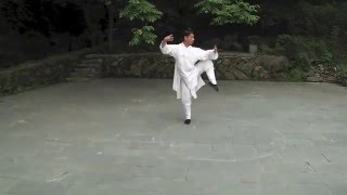 武當八卦掌 (管永星) - Wudang Baguazhang (Guan Yongxing) (Technical)