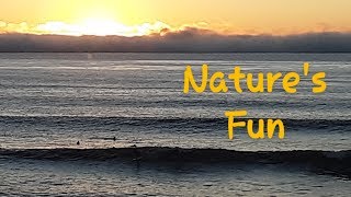Van Life : SURFERS At Sunset Cliffs CA / Solo Female Traveler