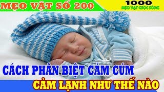 [Mẹo Vặt Số 200] Cách phân biệt cảm cúm và cảm lạnh như thế nào? 99% mọi người không biết điều này