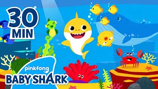 Baby Shark Coloring Fun and more | +Compilation | Homeschooling with Baby Shark