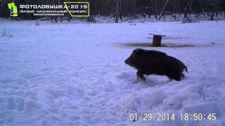 ID256/автор В.Зайцев/ Оренбург