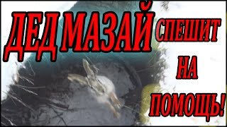 Охота на зайца (спасение зайца )