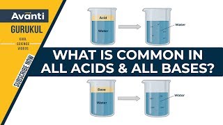 Acids and Bases | What is common in all acids & all bases ?