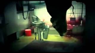 ALARMSIGNAL - Gefressen werden (Official Video)