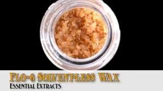 Denver US Cannabis Cup Strain Entries