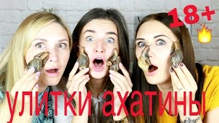 МАССАЖ ЛИЦА ЖИВЫМИ УЛИТКАМИ 18+ УЛИТКИ АХАТИНЫ
