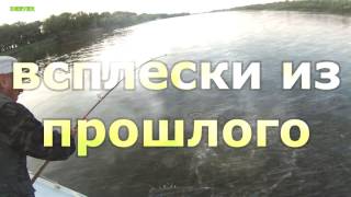 Воспоминания из прошлого - отдых дикарём на Ахтубе - фильмы ДИВЕРА