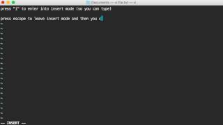 Linux Basics: Working with the vi editor