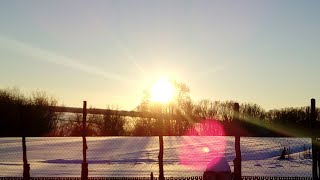Восход солнца в деревне , под крики петухов. 5 ти минутное видео .