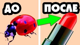 90% девушек не знают ОБ ЭТОМ|ТОП-5 необычных фактов