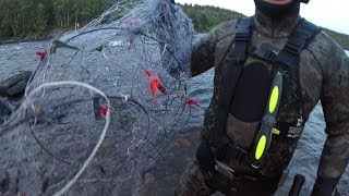 НАБРАЛ ОГРОМНОЕ КОЛИЧЕСТВО ГОРБУШИННЫХ МУХ / UNDERWATER FINDINGS