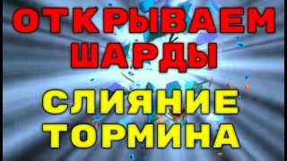 Открытие Шардов. Турнир Пополнения Коллекции. Слияние Тормина. RAID: Shadow Legends