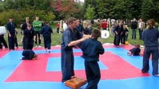 Хортинг - MMA Horting - показательная тренировка 6.