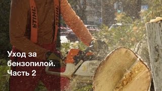 Смазка подшипника сцепления бензопилы - Обслуживание бензопилы. Часть 2