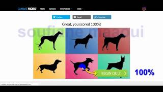 Identify the Dog Breed by its Silhouette! Quiz Answers  100%