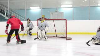 Тренер вратарей Чирков А.Г в GOALKEEPERS Elite Camp 2017