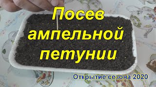 Посев ампельной петунии и эустомы. Открытие сезона 2020.