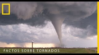 Factos Sobre Tornados | National Geographic Portugal