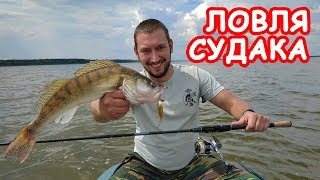 Ловля Судака. Путешествие в лето