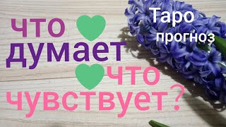 Таро прогноз ЧТО ДУМАЕТ？ЧТО ЧУВСТВУЕТ？Онлайн гадание на картах Таро asmr видео Hygge