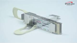 Gigalight 200G QSFP DD SR8 Optical Transceiver Product Demo