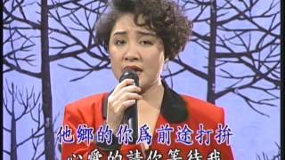 陳盈潔 & 陳百潭【情歌對唱 1】流浪的歌聲 (高清 吉馬唱片LD版)