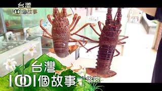 東北角本港龍蝦 新鮮直送活跳跳 第161集 part5【台灣1001個故事】2012年