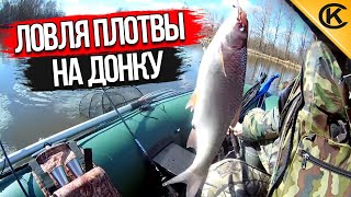 Ловля плотвы на донку с отводным поводком.