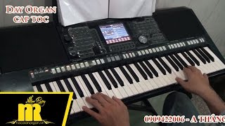 Học Đàn Organ Cấp Tốc TPHCM - DẤU CHÂN KỶ NIỆM - Học Organ Online-Cơ Bản-Nâng Cao-★0909422006★