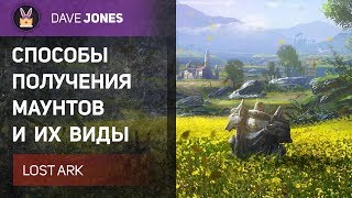 LOST ARK - Маунты и способы их получения. Виды маунтов.