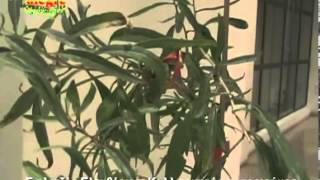 Supefood - Γιαλετζής Ελευθέριος