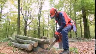 Видео инструкция по работе с бензопилами Husqvarna