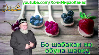 ЧАНЧОЛИ МУЛЛОХО - ХОЧИ МИРЗО 2018