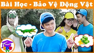Giải Cứu Cá Sấu | Bài Học - Bảo Vệ Động Vật Hoang Dã EduTV-E24