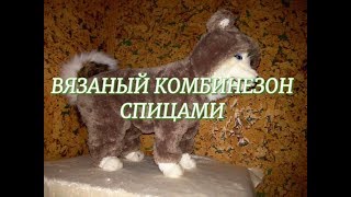 Вязаный комбинезон для собаки или кошки спицами