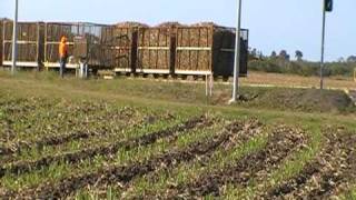 sugar cane train australia
