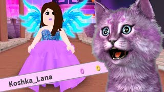 ПОЛУЧИЛА 0 ЗВЁЗД ЗА КОСТЮМ! ПОКАЗ МОД БЕЗ ВИП ДОСТУПА В РОБЛОКС roblox fashion famous frenzy