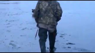 Охота на уток /  Hunting for ducks