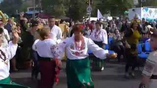 Ой, смерека!