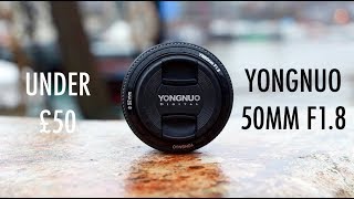 Yongnuo 50mm f1.8 Lens for Canon (Review & Samples)