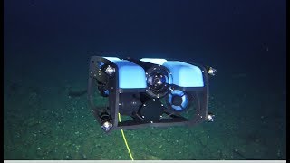 Blue Robotics "BlueROV2" with towed camera sled: Part 1 - 380'