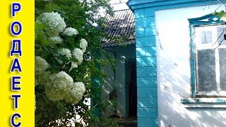 готовый дом в ст. Холмская  Краснодарского края