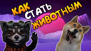 Как стать животным | Установка Facerig pro | Пёс сошёл с ума | Стрим | Как добавить Facerig в OBS