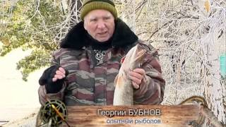 Рыбак Рыбаку 377 "Рыбалка мечты".