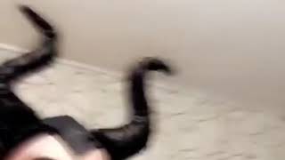 SNAP KRALİÇESİ ÇİKOLATALI NESRİN PARTİDE