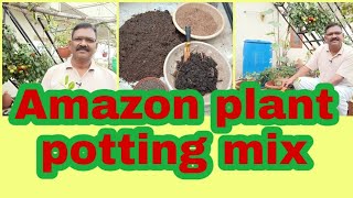 First time Amazon plant. #AmazonLink: https://amzn.to/2TDwXWi #terrracegarden #naturalfarming