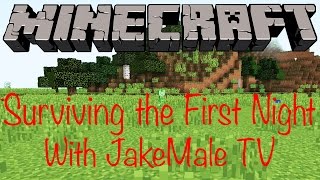Surviving the First Night - MineCraft