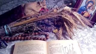 Кровохлебка лекарственная, описание и лечебное применение по материалам книги Попова А.П.