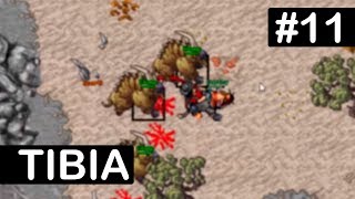 [TIBIA] FIM DOS BOTS? ● BATE-PAPO - #11